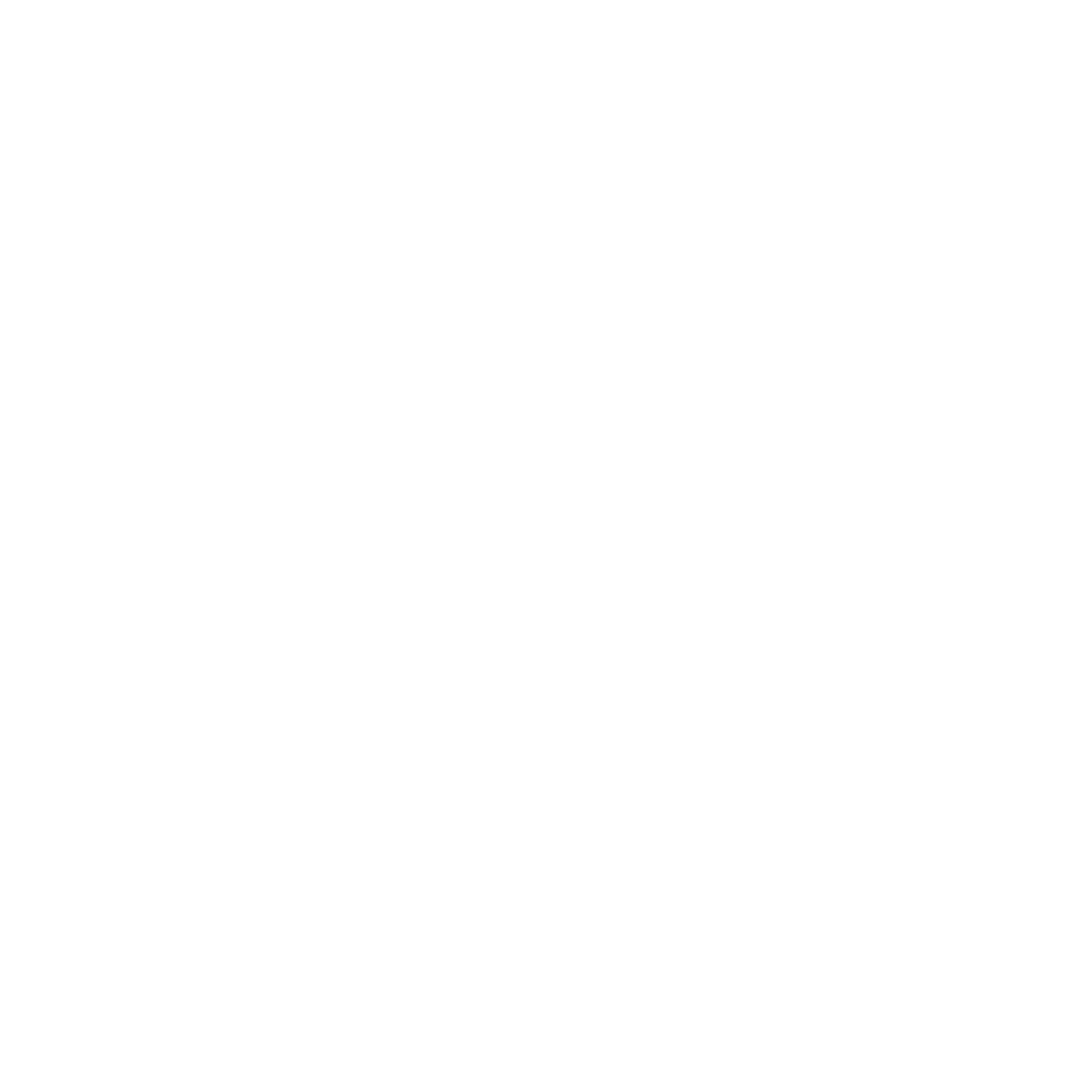 Nuki's Closet Light Logo