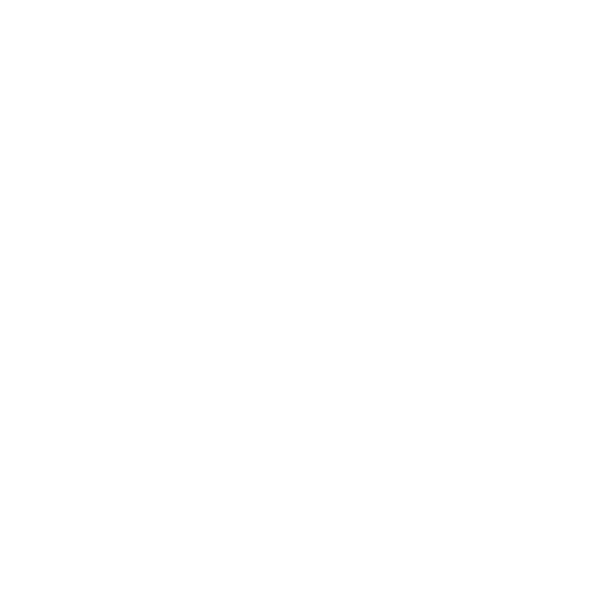 Suntastic Energy Solution Light Logo
